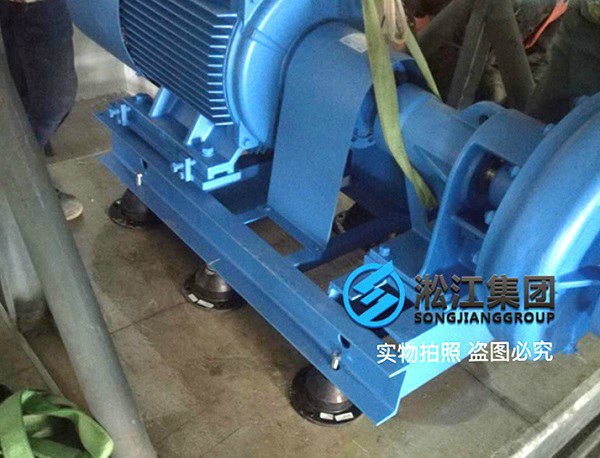 1745571269550471.jpg 9 SCR型水泵低频橡胶减震器案例.jpg